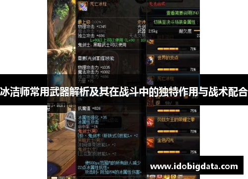冰洁师常用武器解析及其在战斗中的独特作用与战术配合