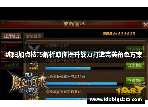 纯阳加点技巧解析助你提升战力打造完美角色方案