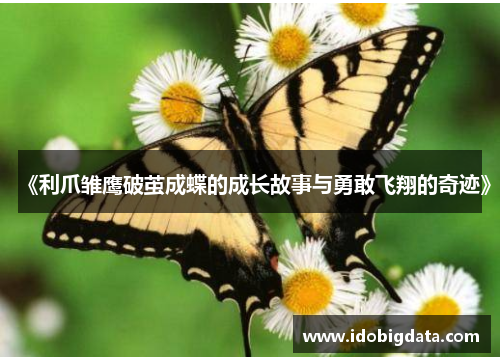 《利爪雏鹰破茧成蝶的成长故事与勇敢飞翔的奇迹》